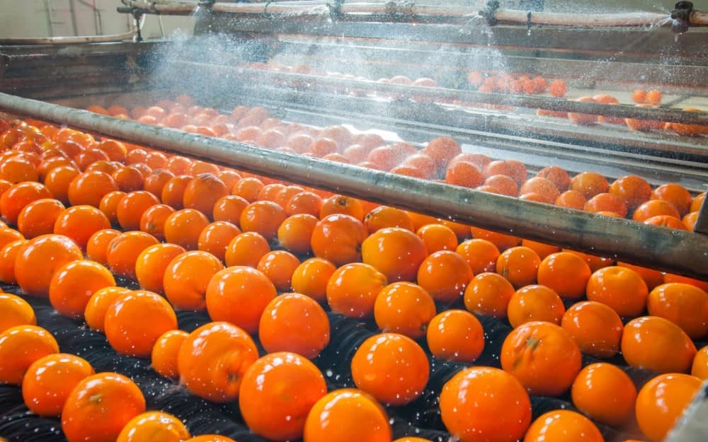 Washing, Coating, and Waxing Machines for Fruits and Vegetables ...